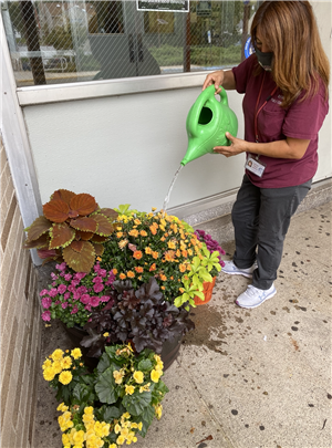 Maria Rado watering the flowers she donated to CHS